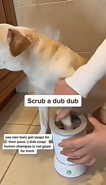 The Automatic Pet Paw Cleaner™ — Electric Rechargeable Muddy Paw Washer